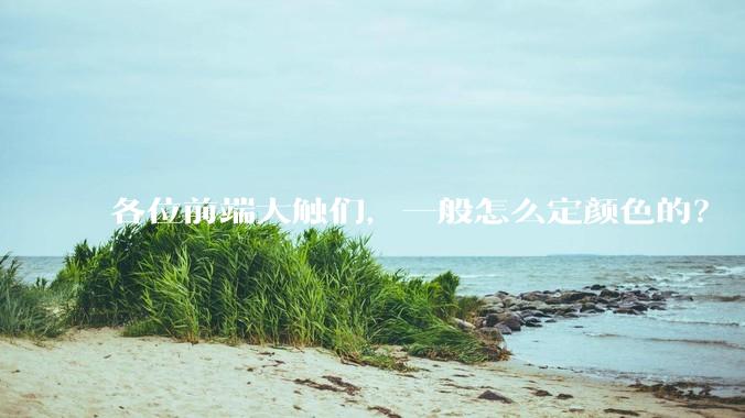 各位前端大触们，一般怎么定颜色的？